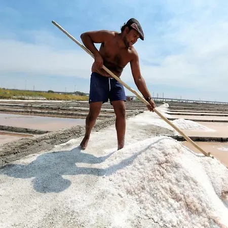 Apartment Sun, Sky And Sea Esmoriz