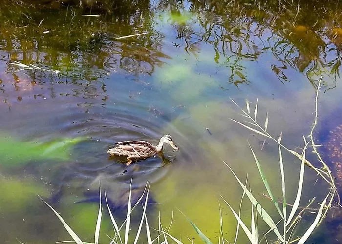 Sun, Sky And Sea Appartement Esmoriz